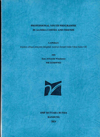 Image of Professional Youth Programme